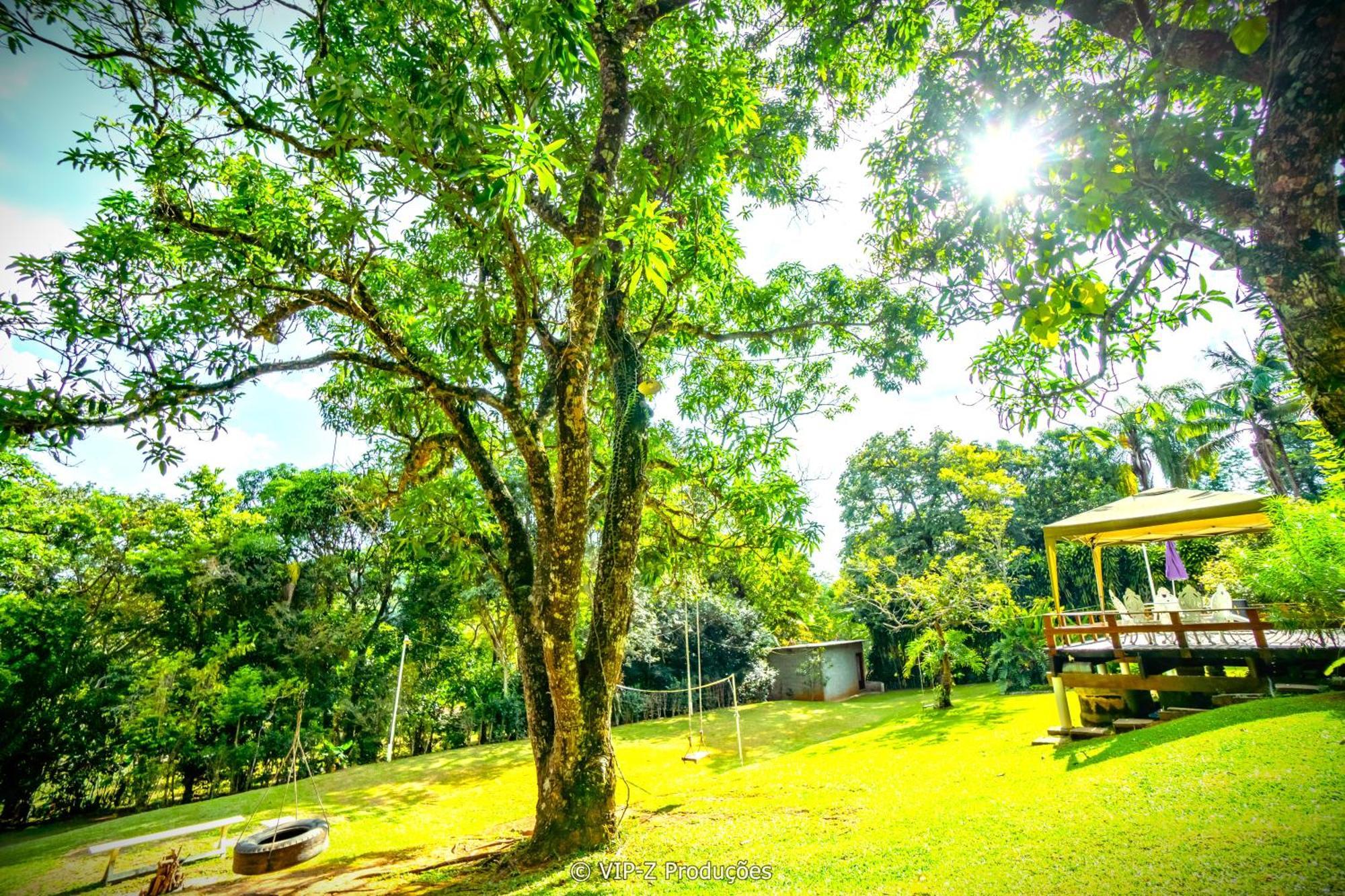 Chacara Com Casa Na Arvore