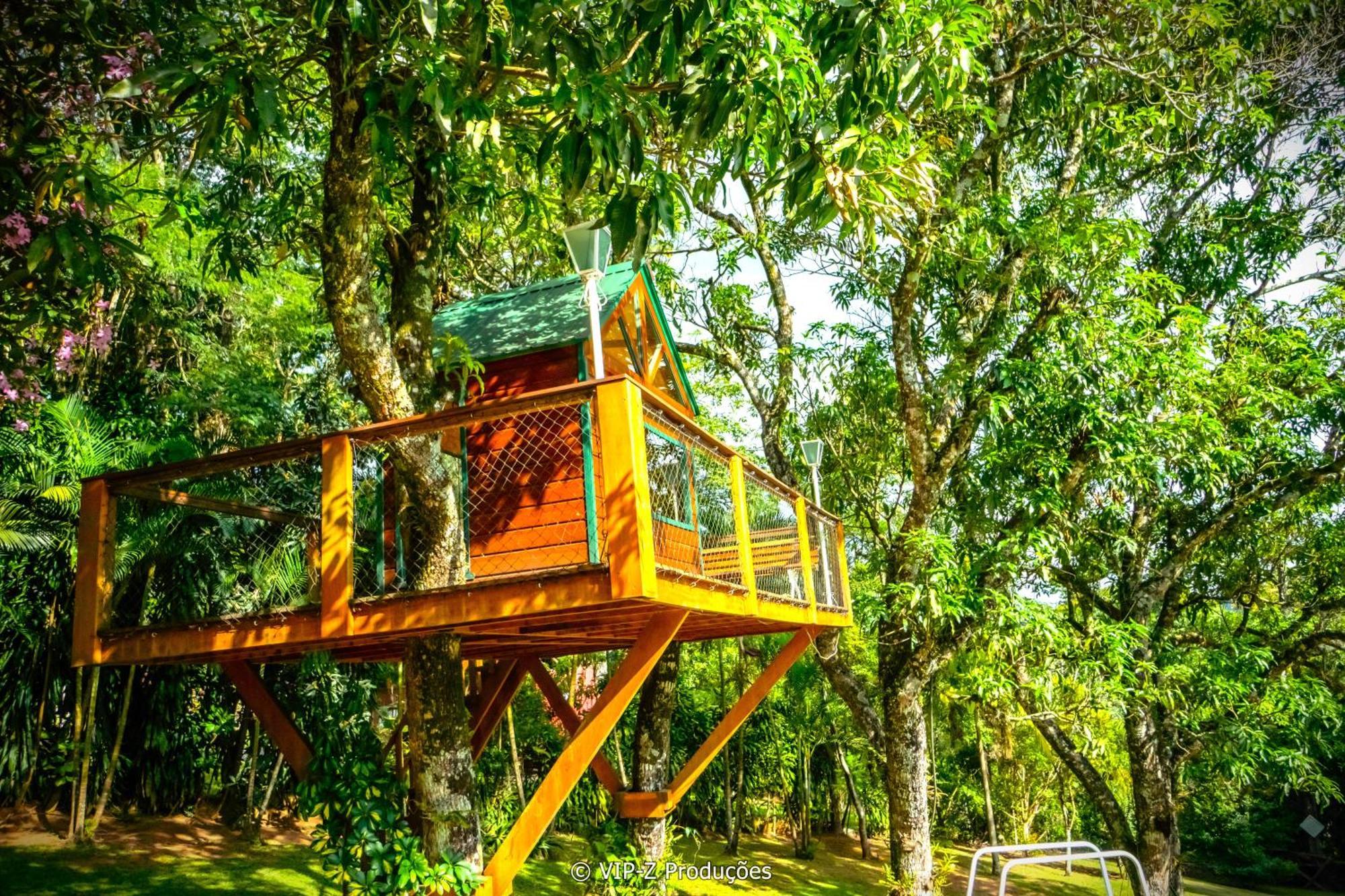 Chacara Com Casa Na Arvore *